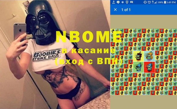 стафф Алексин