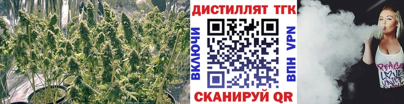 купить  цена  Моздок  ТГК концентрат 