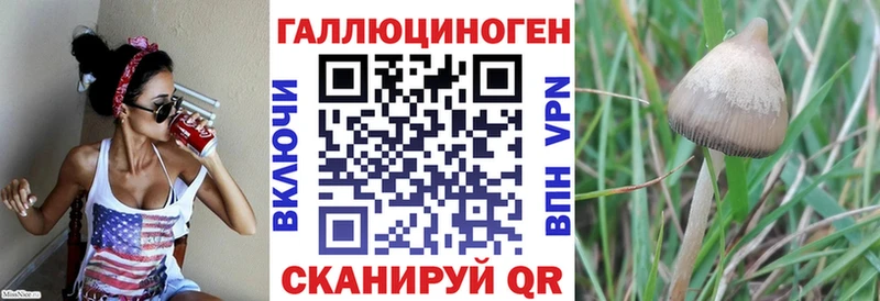 Псилоцибиновые грибы Magic Shrooms Моздок